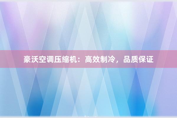 豪沃空调压缩机：高效制冷，品质保证